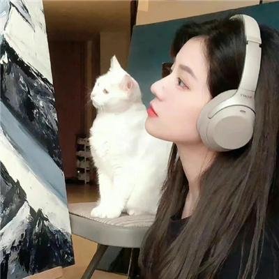 招笑猫